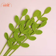 Hoa len cành lá xanh