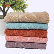 Set khăn gấu 5c vuông