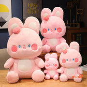 Thỏ má hồng ngồi