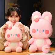 Thỏ má hồng ngồi