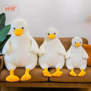 Vịt bụng bự nhỡ