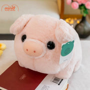 Móc khóa bông heo tròn