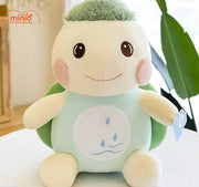 Rùa nhỡ tóc chỏm