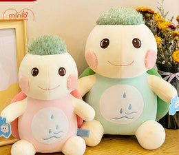 Rùa nhỡ tóc chỏm