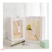 Túi quà trong trơn 35x25x15cm