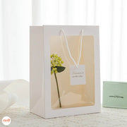 Túi quà trong trơn 35x25x15cm