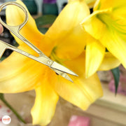 Kéo vàng tỉa lông mi, mũi