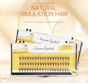 Hộp mi giả chùm