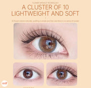 Hộp mi giả chùm