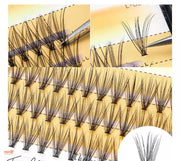 Hộp mi giả chùm