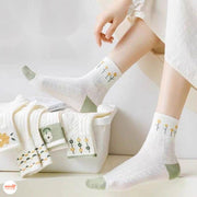 Vớ cổ trung Sports Socks 6613 BV