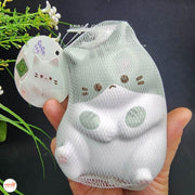 Bóp squishy mèo