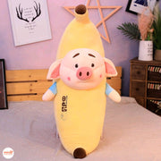 Chuối lợn 80cm VNCC