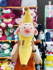 Chuối lợn 80cm VNCC