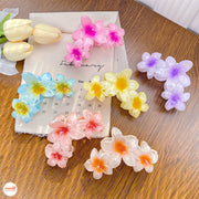 Kẹp càng cua 3 hoa sứ