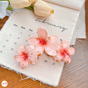 Kẹp càng cua 3 hoa sứ