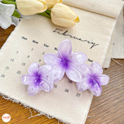 Kẹp càng cua 3 hoa sứ