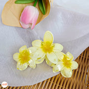 Kẹp càng cua 3 hoa sứ