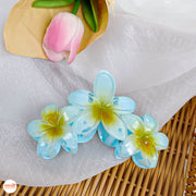 Kẹp càng cua 3 hoa sứ