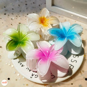 Kẹp càng cua hoa sứ 3,5cm