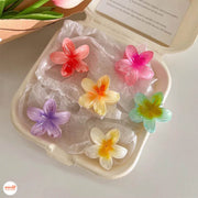 Kẹp càng cua hoa sứ 3,5cm