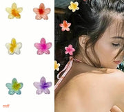 Vỉ 2 kẹp càng cua hoa sứ nhí