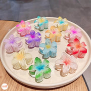 Vỉ 2 kẹp càng cua hoa sứ nhí