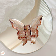 Kẹp càng cua bướm trong suốt