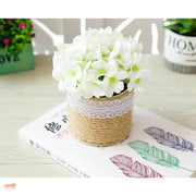 Hoa cẩm tú cầu lọ dây thừng