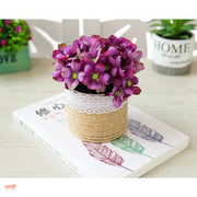 Hoa cẩm tú cầu lọ dây thừng