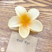 Kẹp càng cua hoa sứ nhám đục