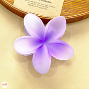 Kẹp càng cua hoa sứ nhám đục