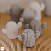 Nến thơm xương rồng