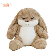 Thỏ tai dài mặt quạo