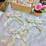 Kẹp tóc Chanel 307