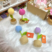 Chậu hoa len tulip mini