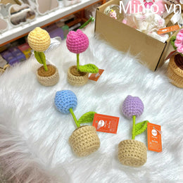 Chậu hoa len tulip mini