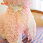 Cừu loang lông xoắn ĐGĐ